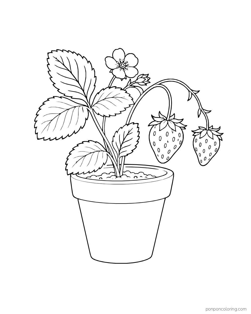 A potted strawberry plant carries two hanging berries below a blossom and leaves.