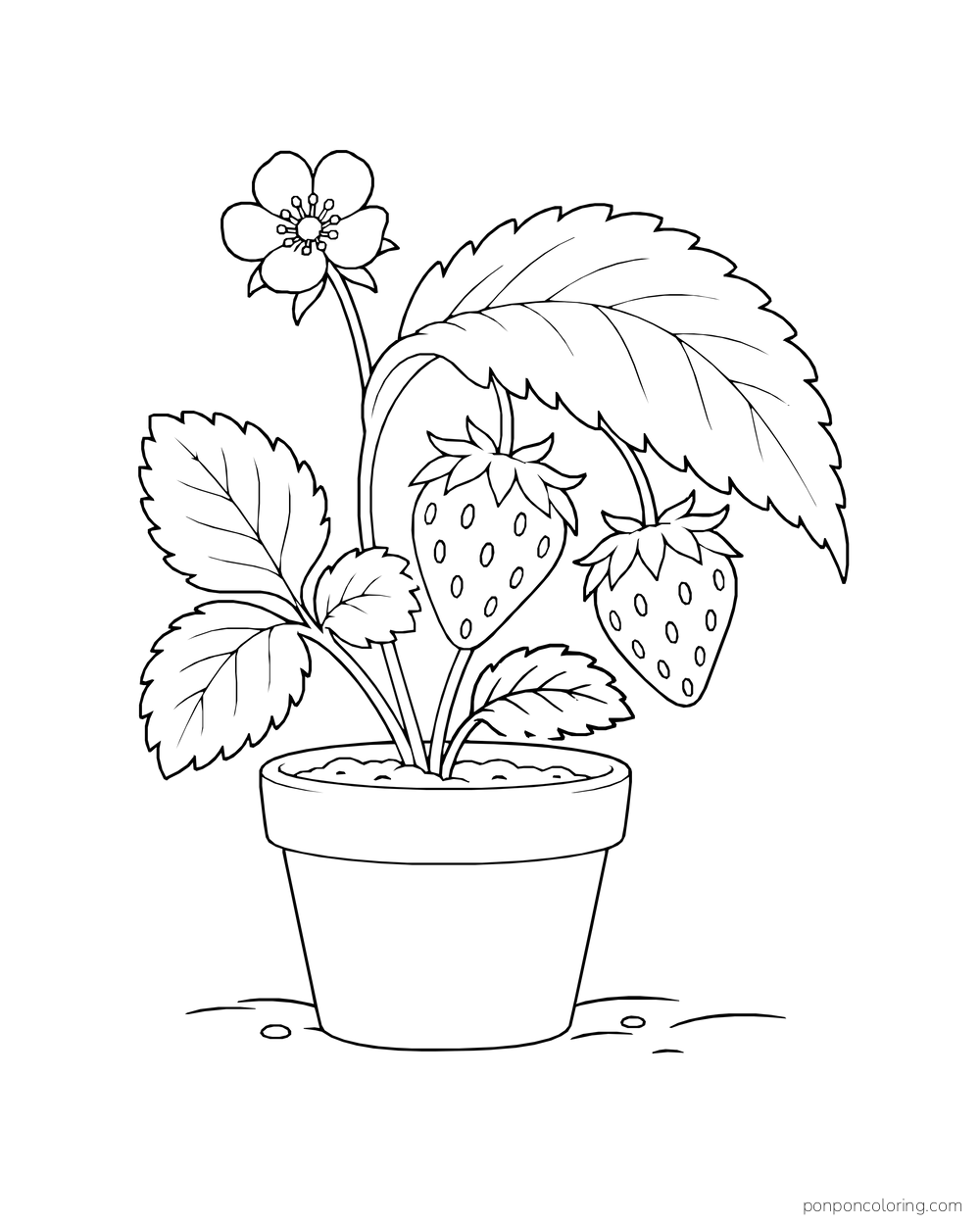 Two berries hang under an oversized toothed leaf on a potted strawberry plant.