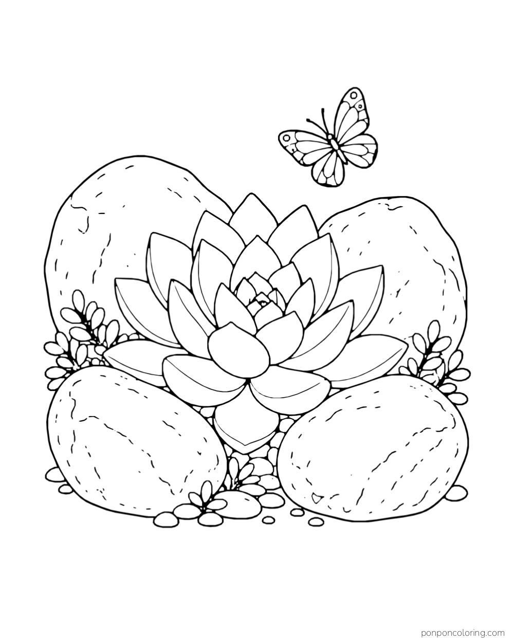 Layered succulent rosette growing among four rounded rocks with a butterfly above.
