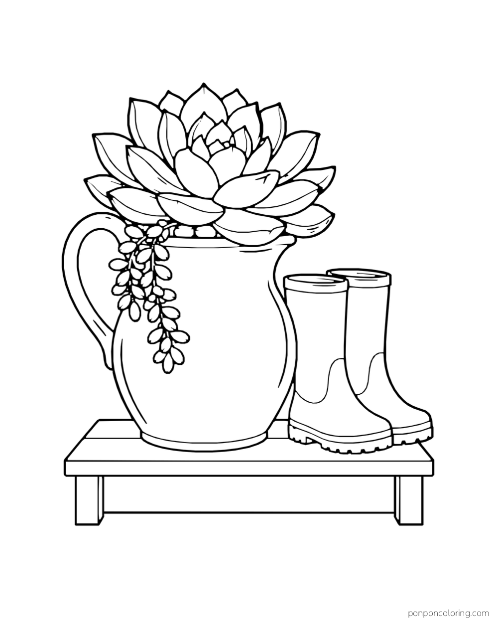 Large layered succulent and trailing round leaves in a ceramic pitcher beside rain boots on a low bench.