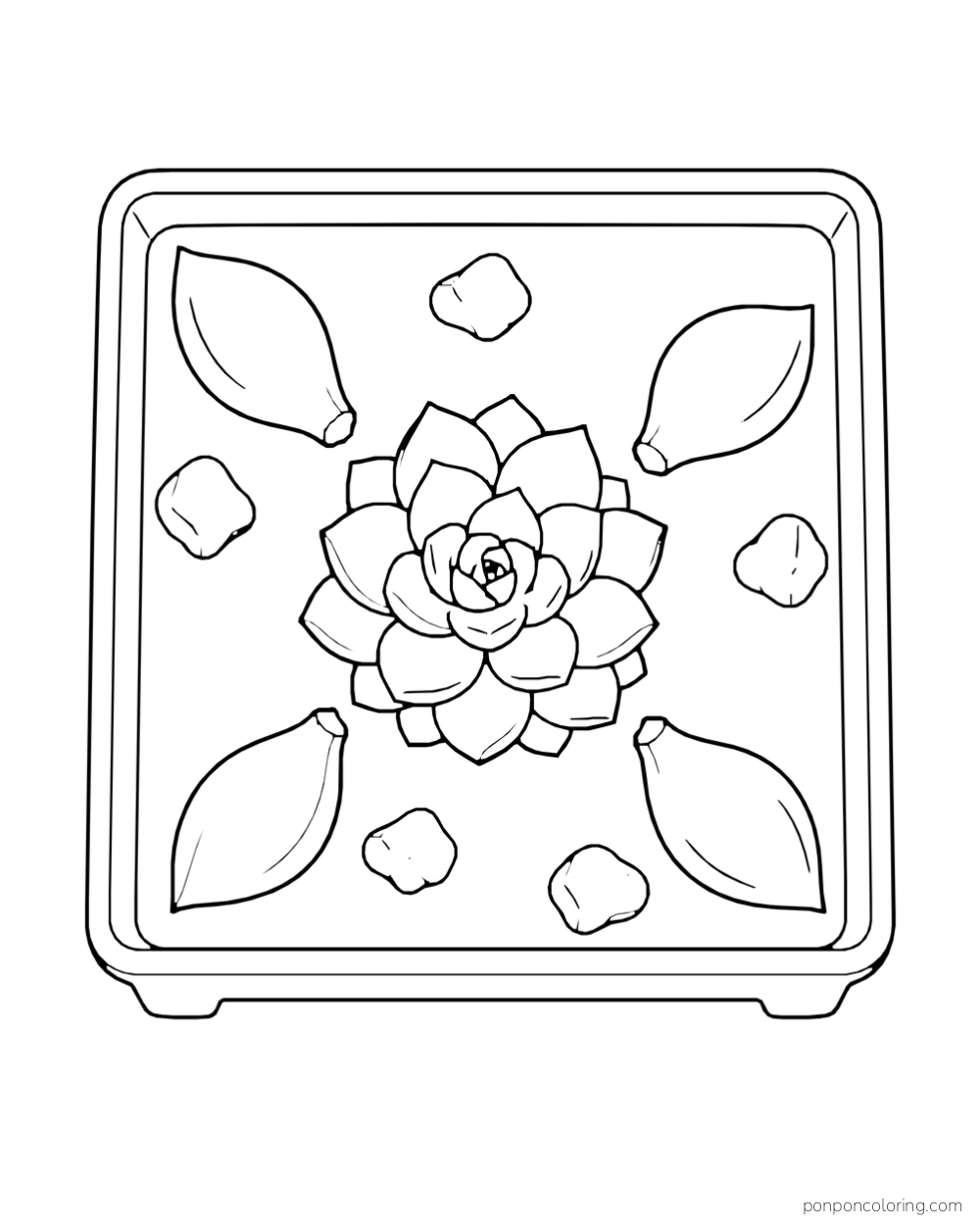 Square tray viewed from above with one central rosette, four loose thick leaves and a few stones.