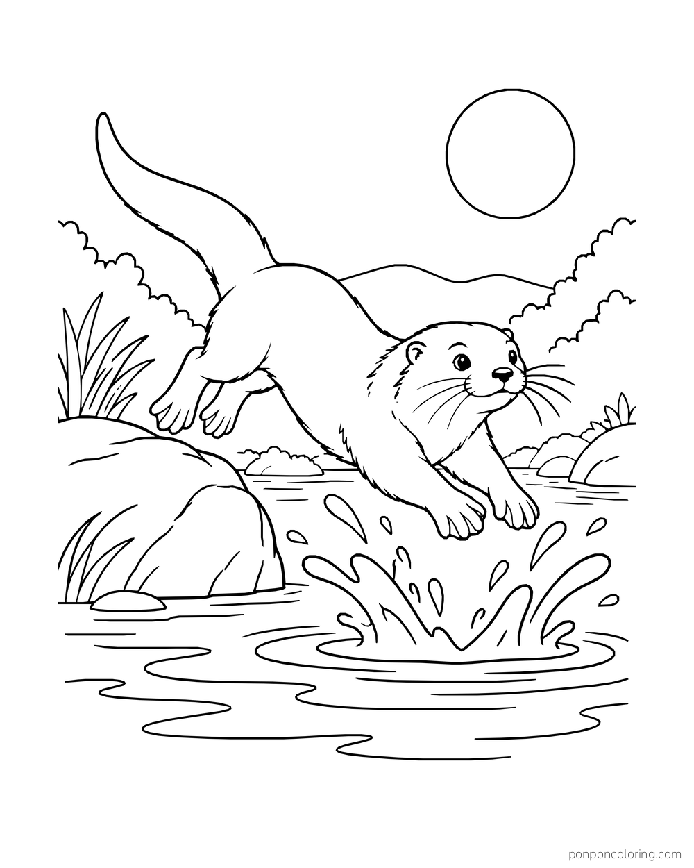 Otter leaping from a rock toward a splash in a sunny river pool.