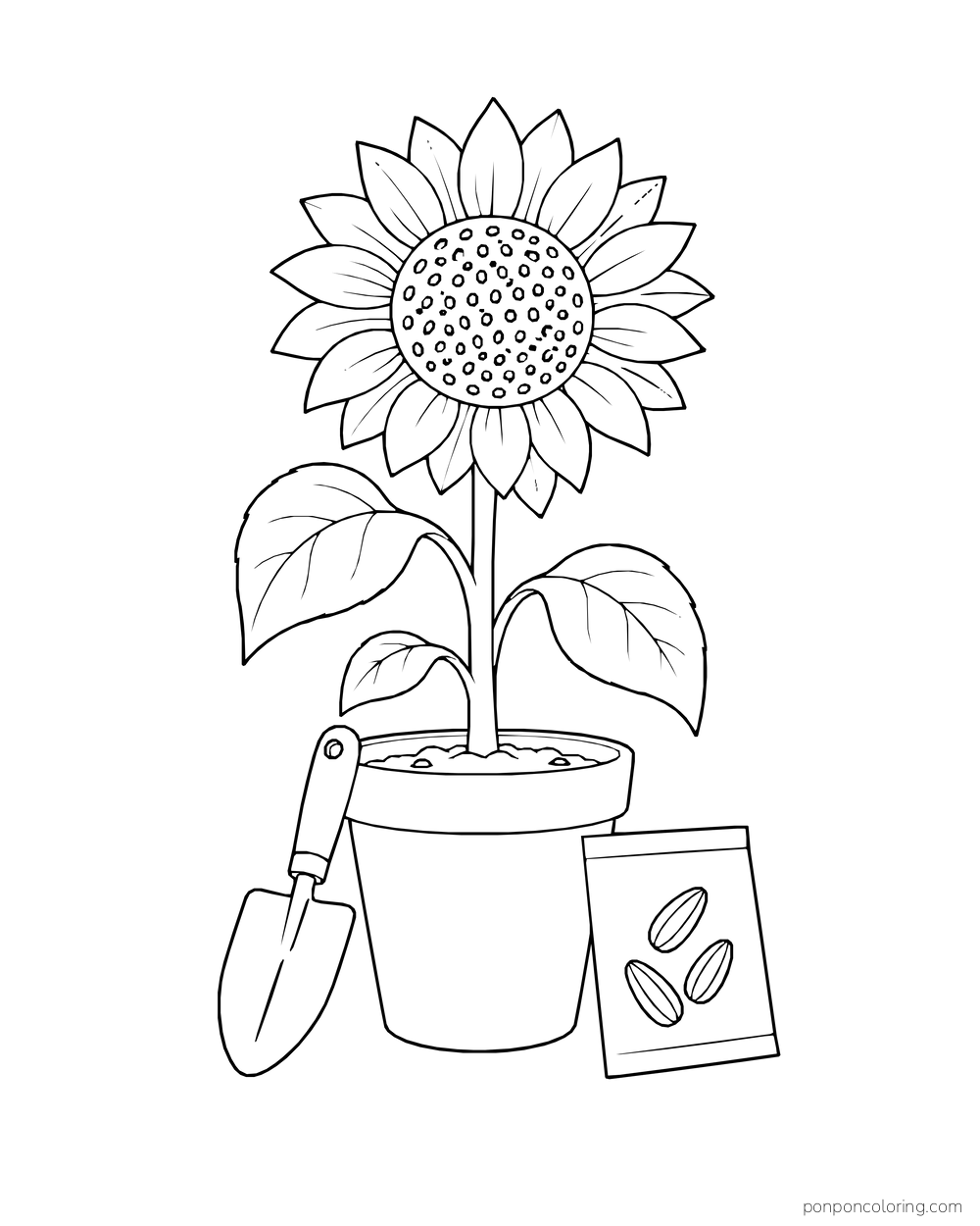 A potted sunflower beside a hand spade and a blank seed packet.