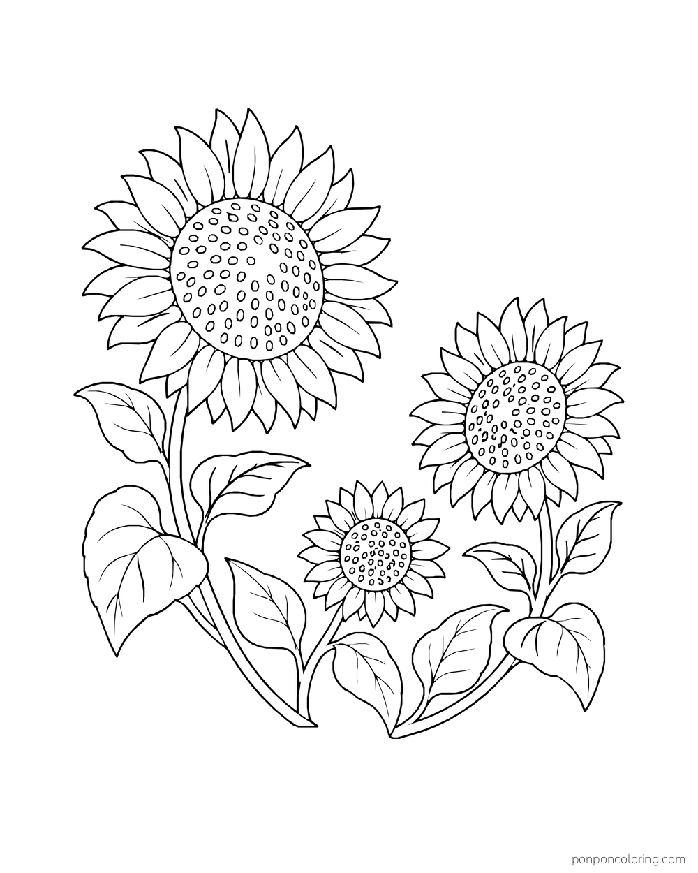 Three sunflowers and leaves arranged in an open crescent.