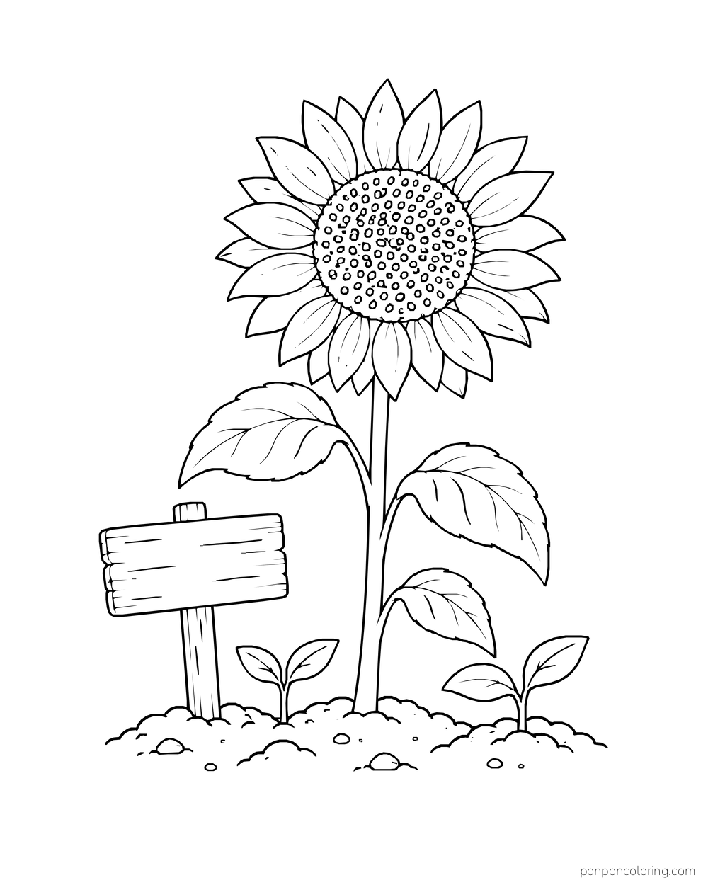 A sunflower beside a blank wooden garden marker and two small sprouts.