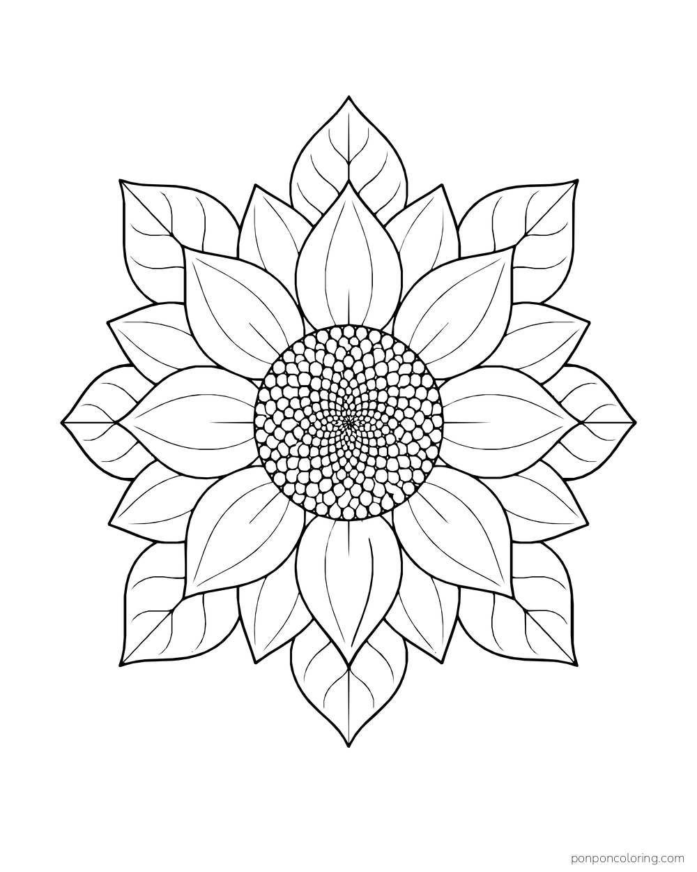 A radial sunflower mandala with a seeded center, petal rings, and outer leaves.