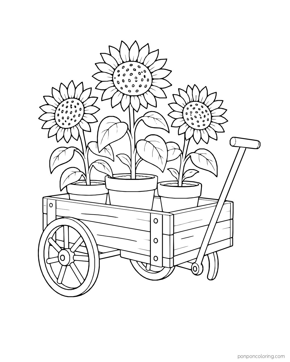 Three potted sunflowers riding in a small two-wheeled garden cart.