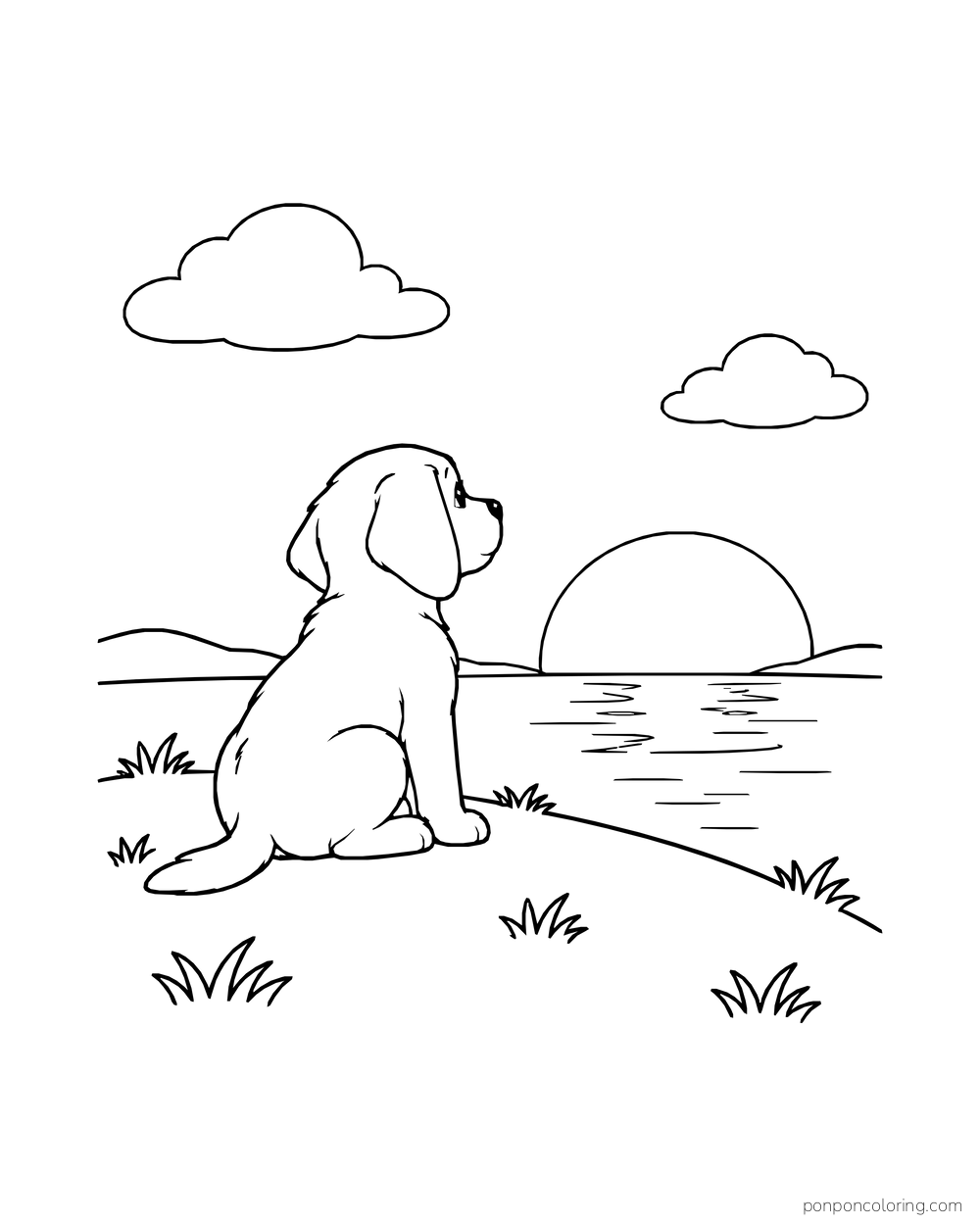 A puppy sits in profile on a hill facing a low sun over the water.