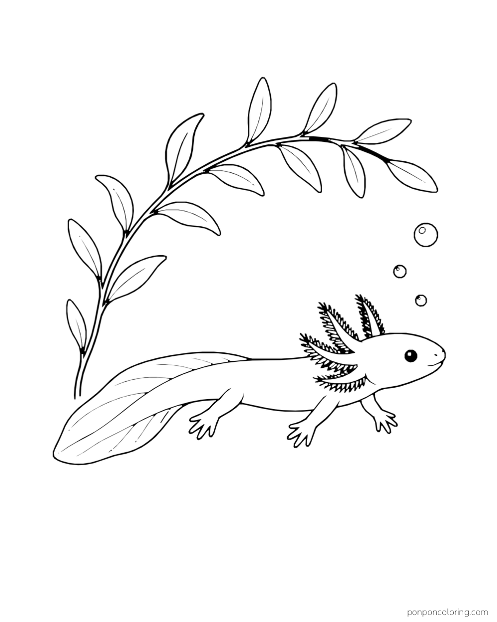 Long axolotl swimming under an arching branch of simple leaves with two bubbles.