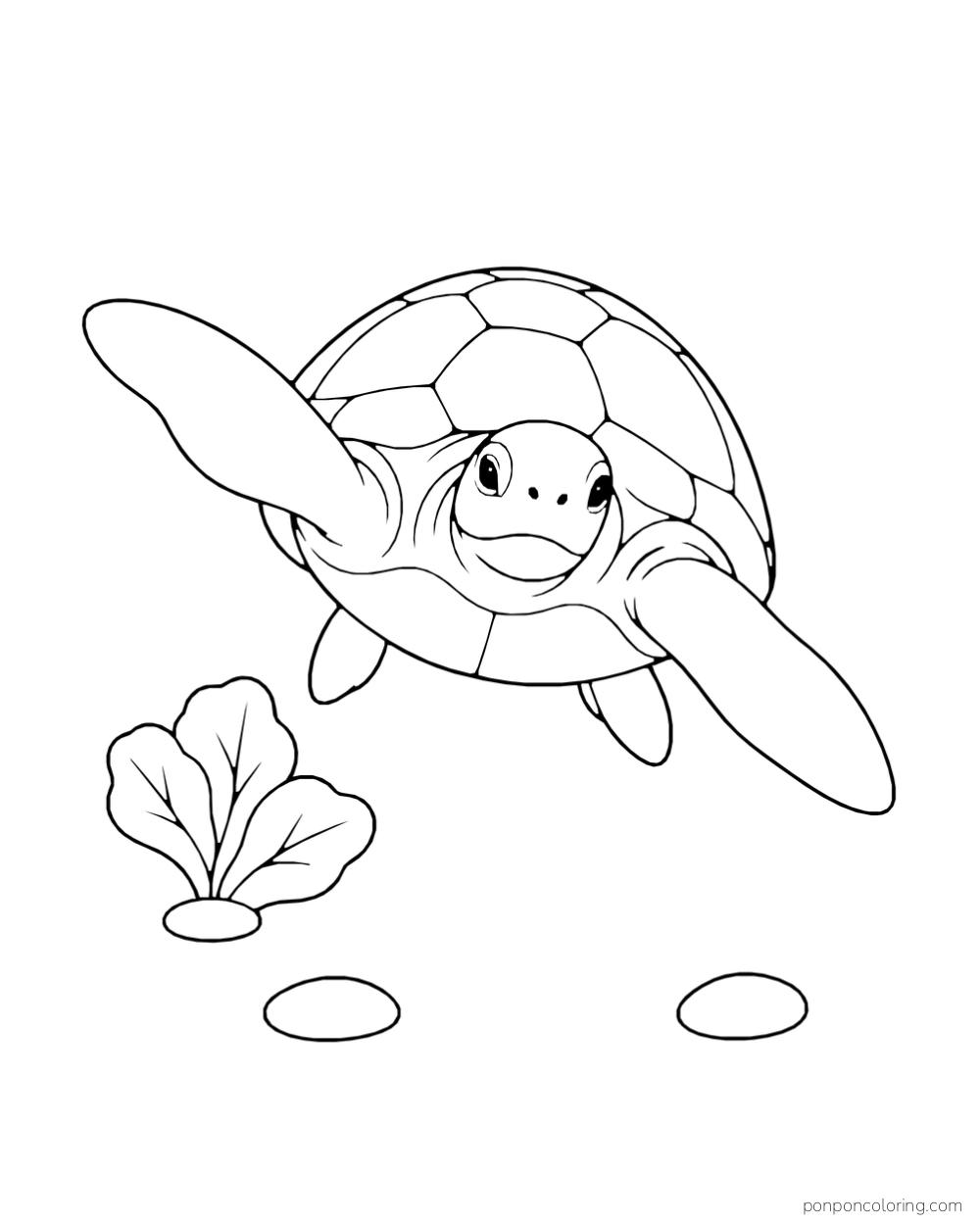 A sea turtle swims toward the viewer above two stones and a small sea fan.