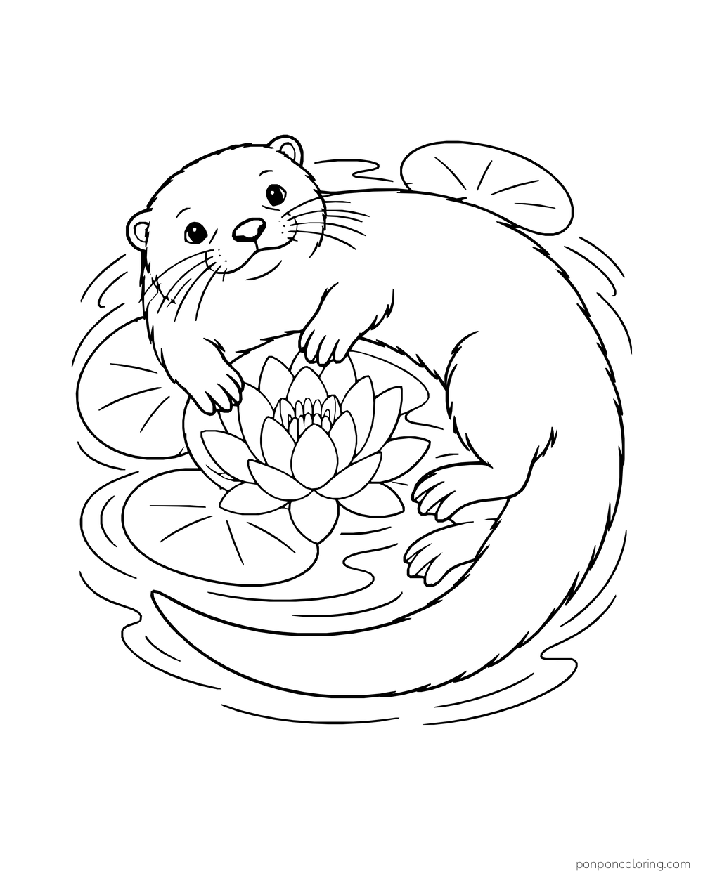 Otter curving around a water lily inside a loose spiral of ripples.