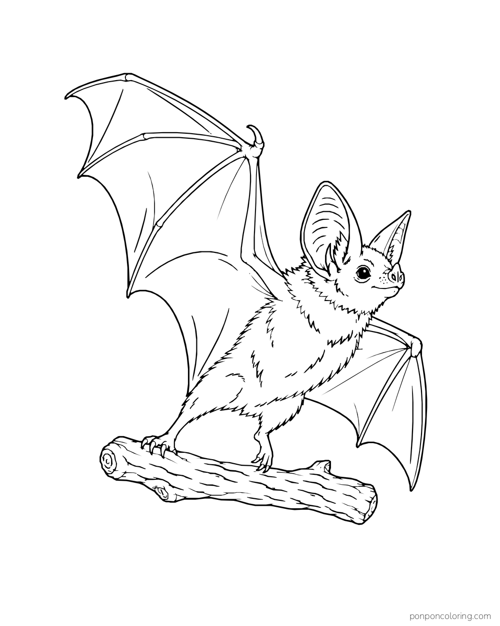 A bat pushes off a short branch with one wing raised and the other partly open.