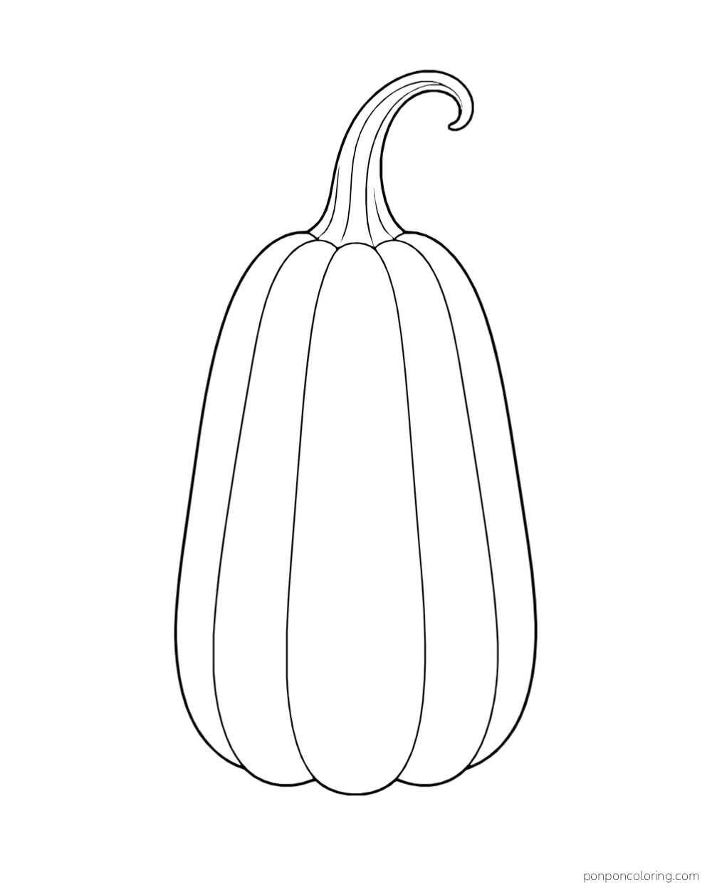 A tall narrow pumpkin with broad ribs and a long curved stem.