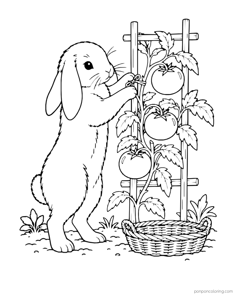 A rabbit tends a tomato vine on a trellis beside a woven basket.