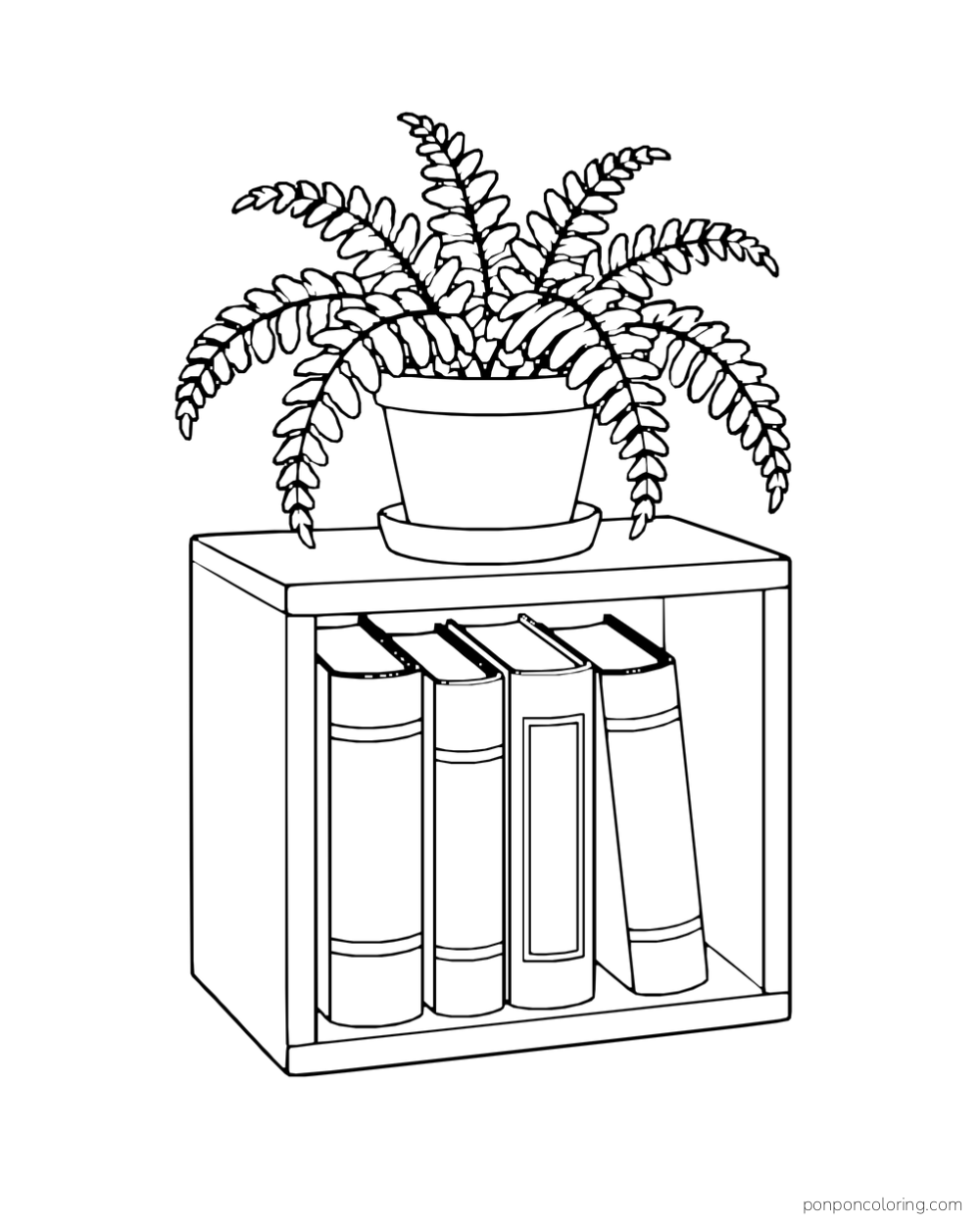 A potted fern on top of a cubby holding four upright books.