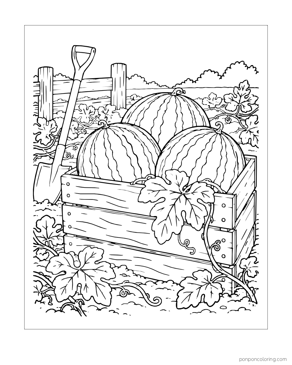 Three striped watermelons in a wooden harvest crate amid leaves, a fence, and a shovel.