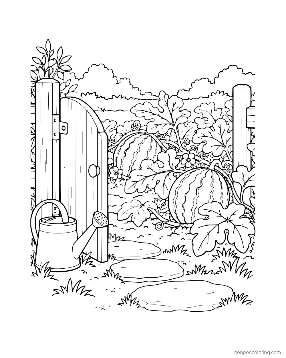 A gate opening into a melon patch with two striped fruits, broad leaves, and a watering can.