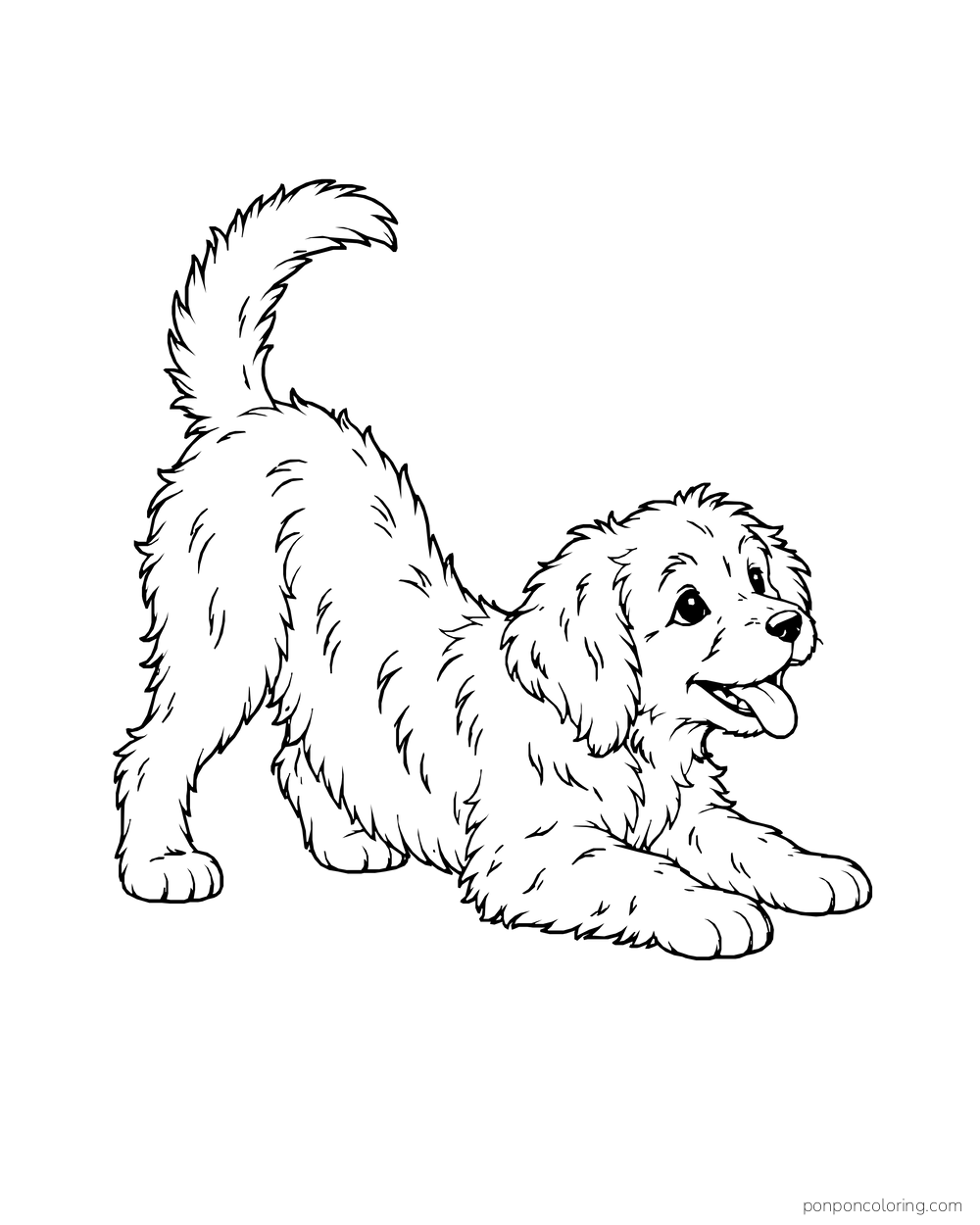A shaggy puppy bows with its front legs low, hindquarters high, and tail lifted.