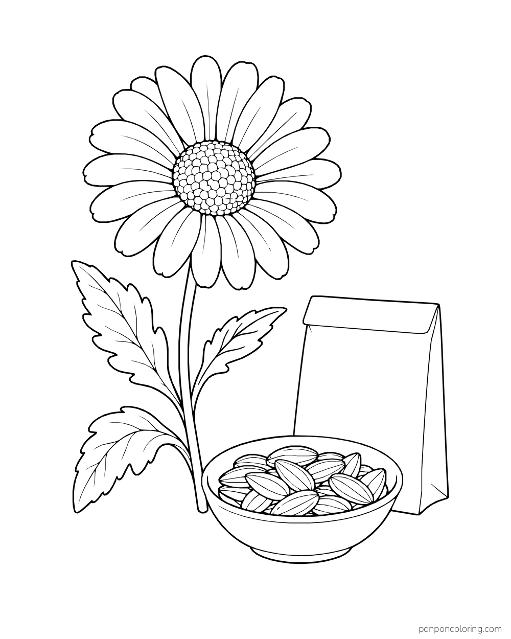 A daisy grows beside a blank seed packet and a shallow bowl of seeds.