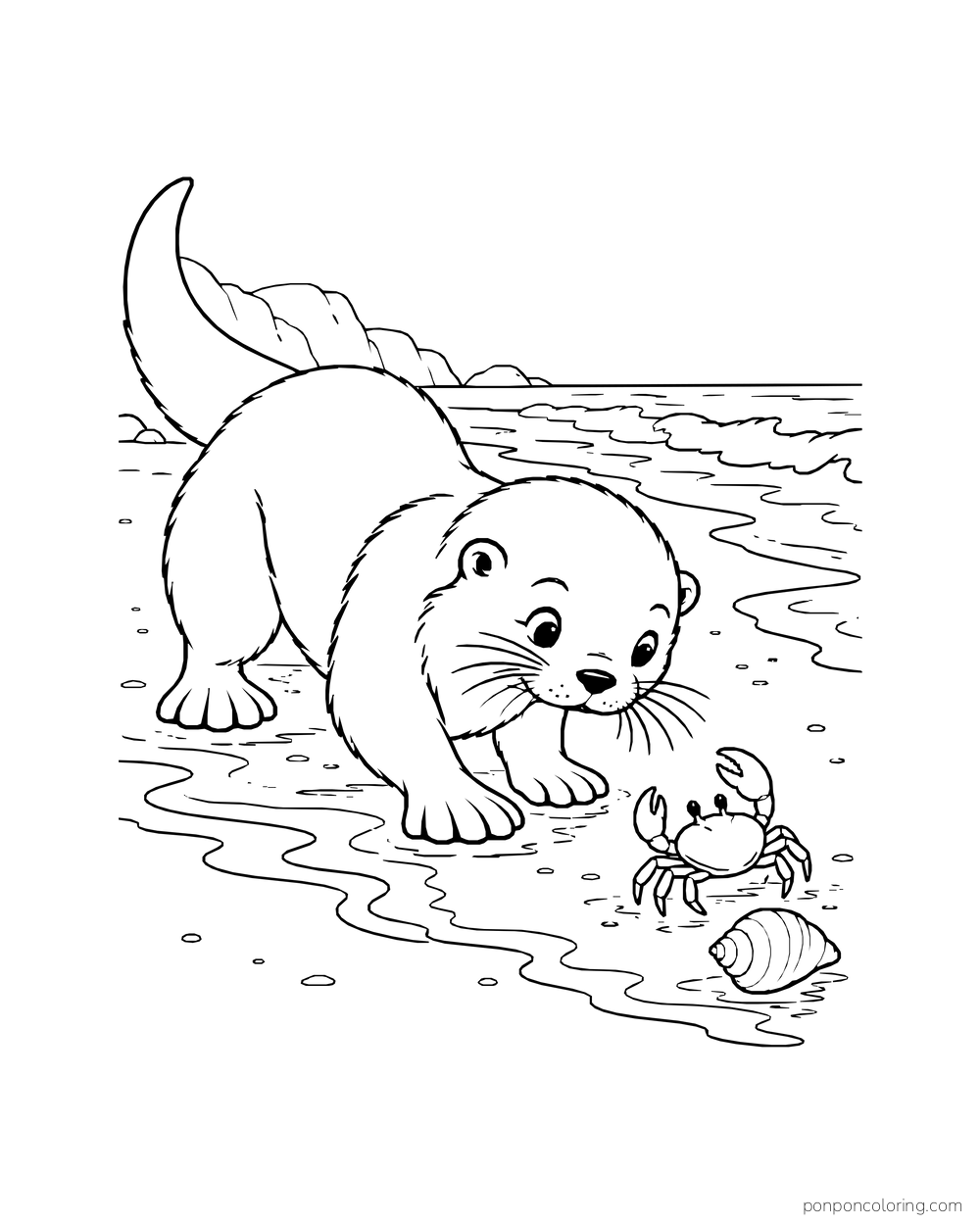 Otter crouching on wet sand to look at a tiny crab beside a shell.