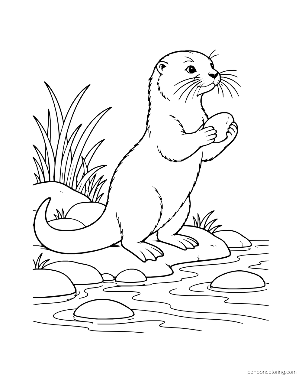 Otter sitting upright on a riverbank with a smooth pebble between its front paws.