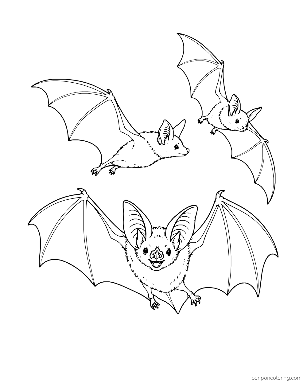 Three bats fly in different directions and sizes across an open page.