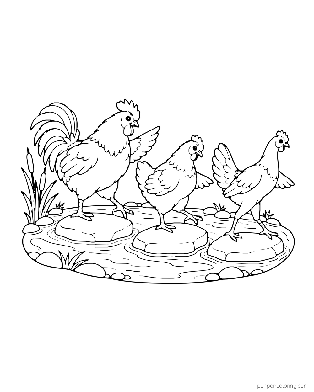 Three adult chickens stepping across stones in a small enclosed stream
