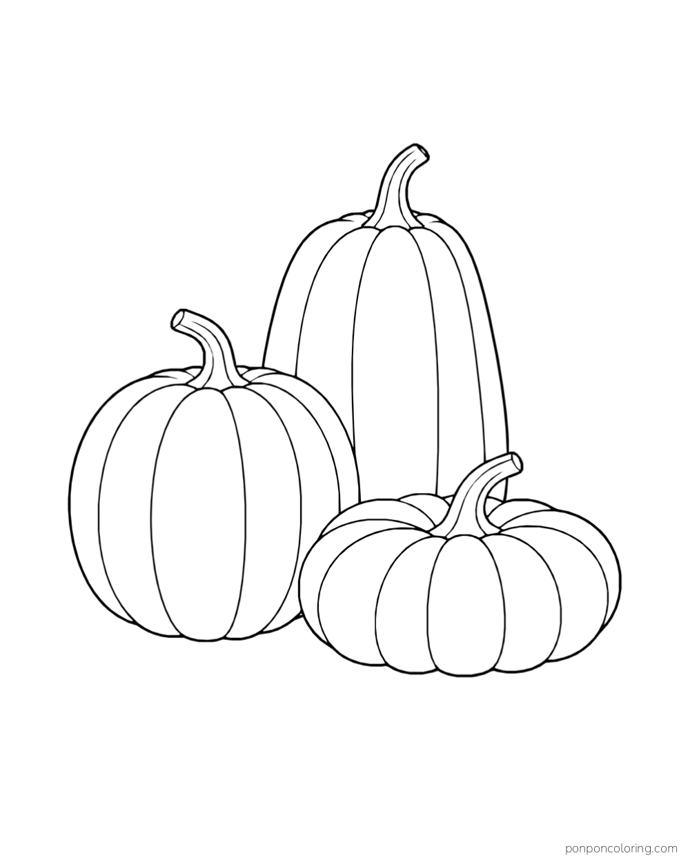 Three pumpkins with round, tall and flattened shapes arranged together.