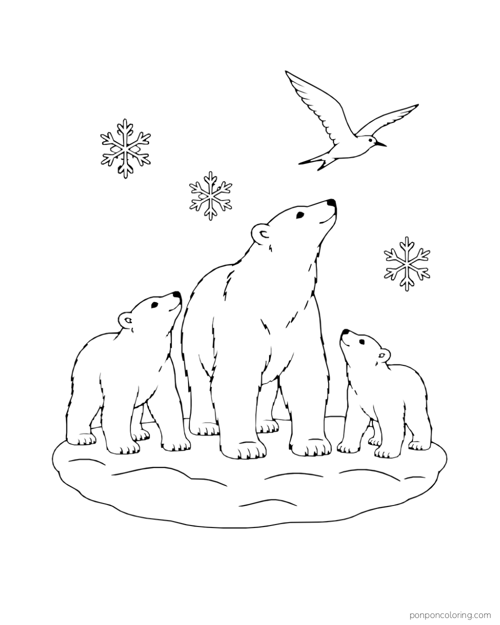 Three polar bears of different sizes look up at a flying bird above an oval snow patch.