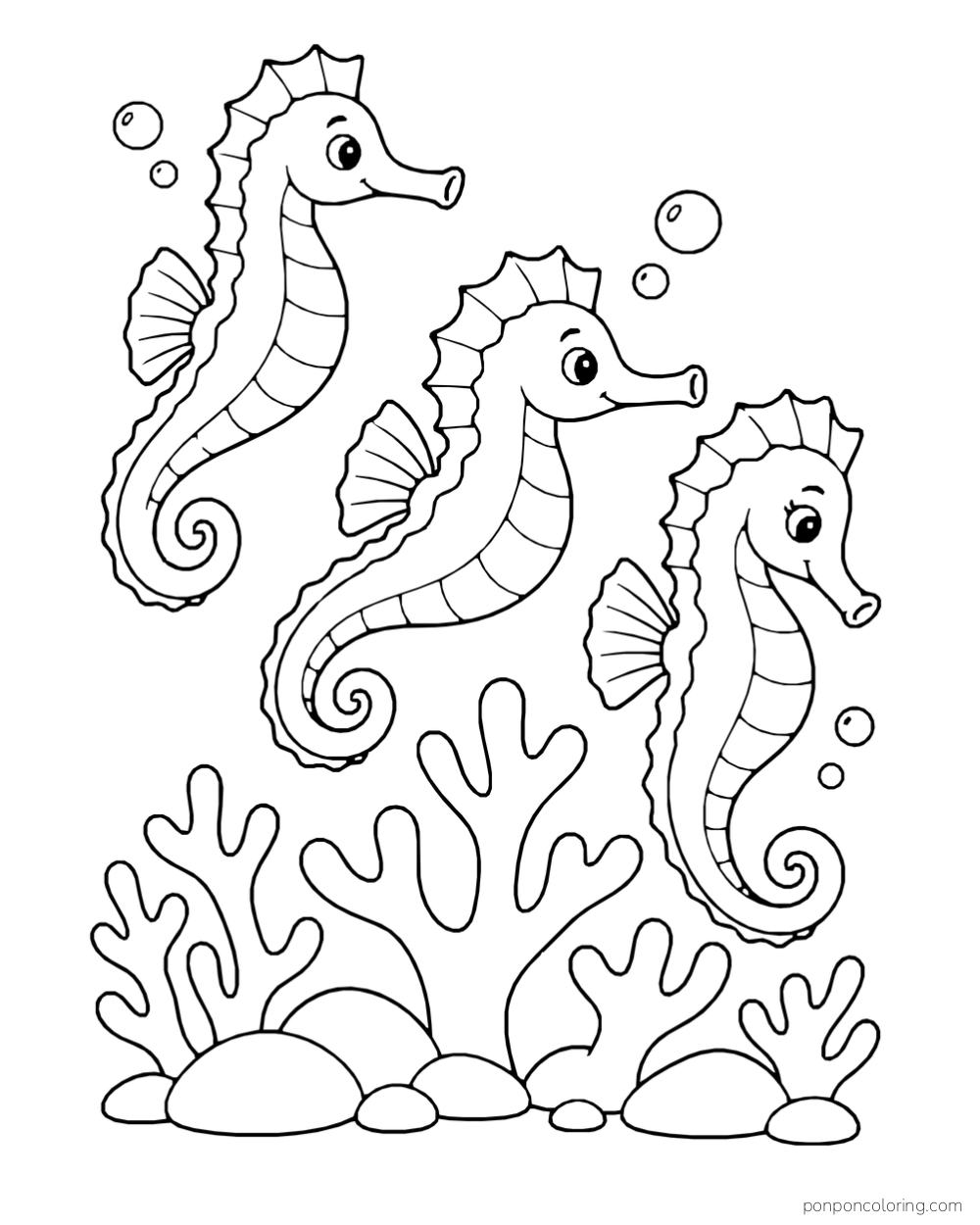 Three seahorses of different sizes above a low cluster of branching coral and rocks.