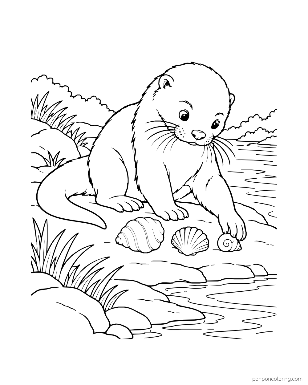 Otter crouching at the water's edge beside three different shells.
