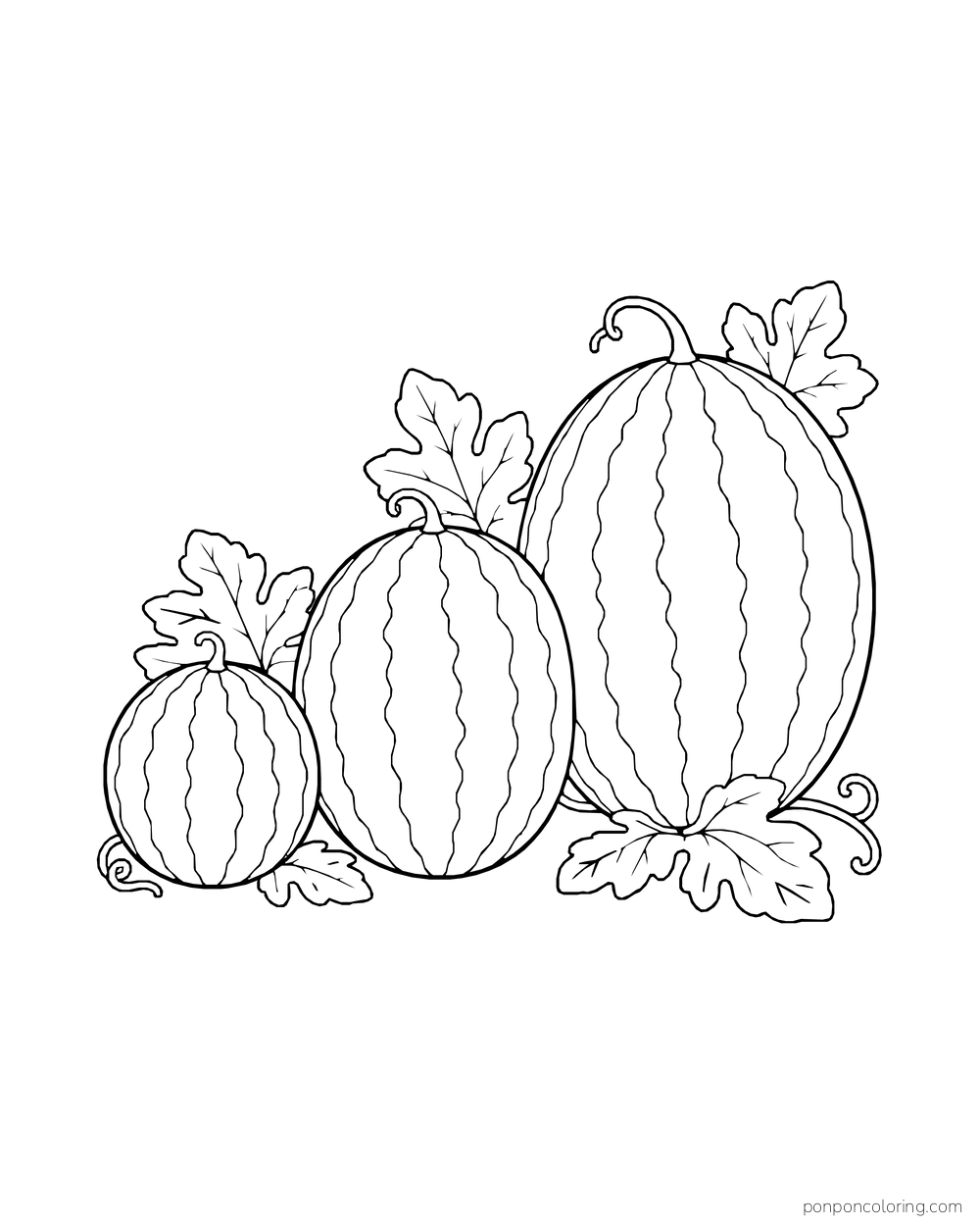 Three whole striped watermelons in increasing sizes among small vine leaves.
