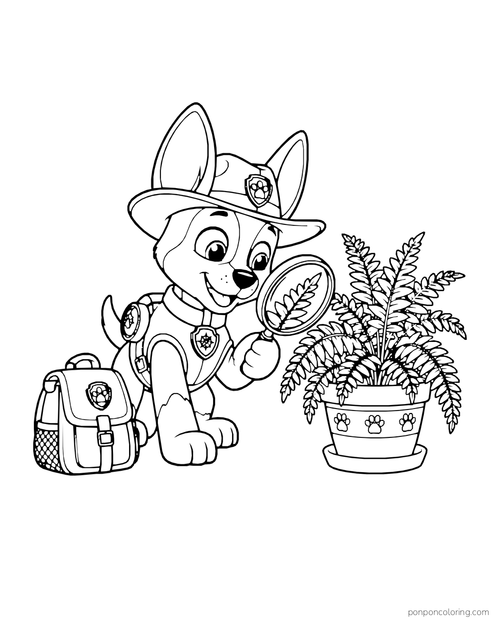 Tracker looks at a fern leaf through a magnifying glass beside his backpack.