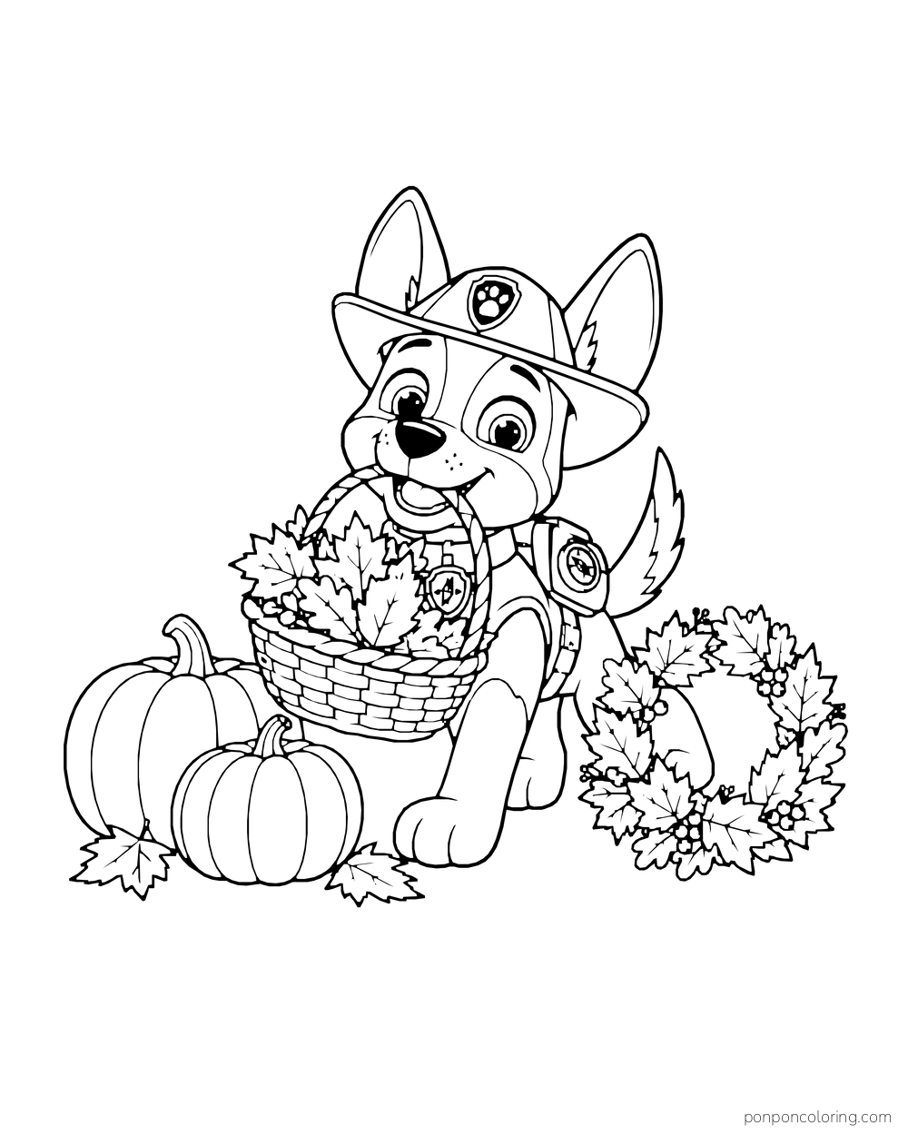 Tracker sits beside a basket of leaves, pumpkins and a leaf wreath.