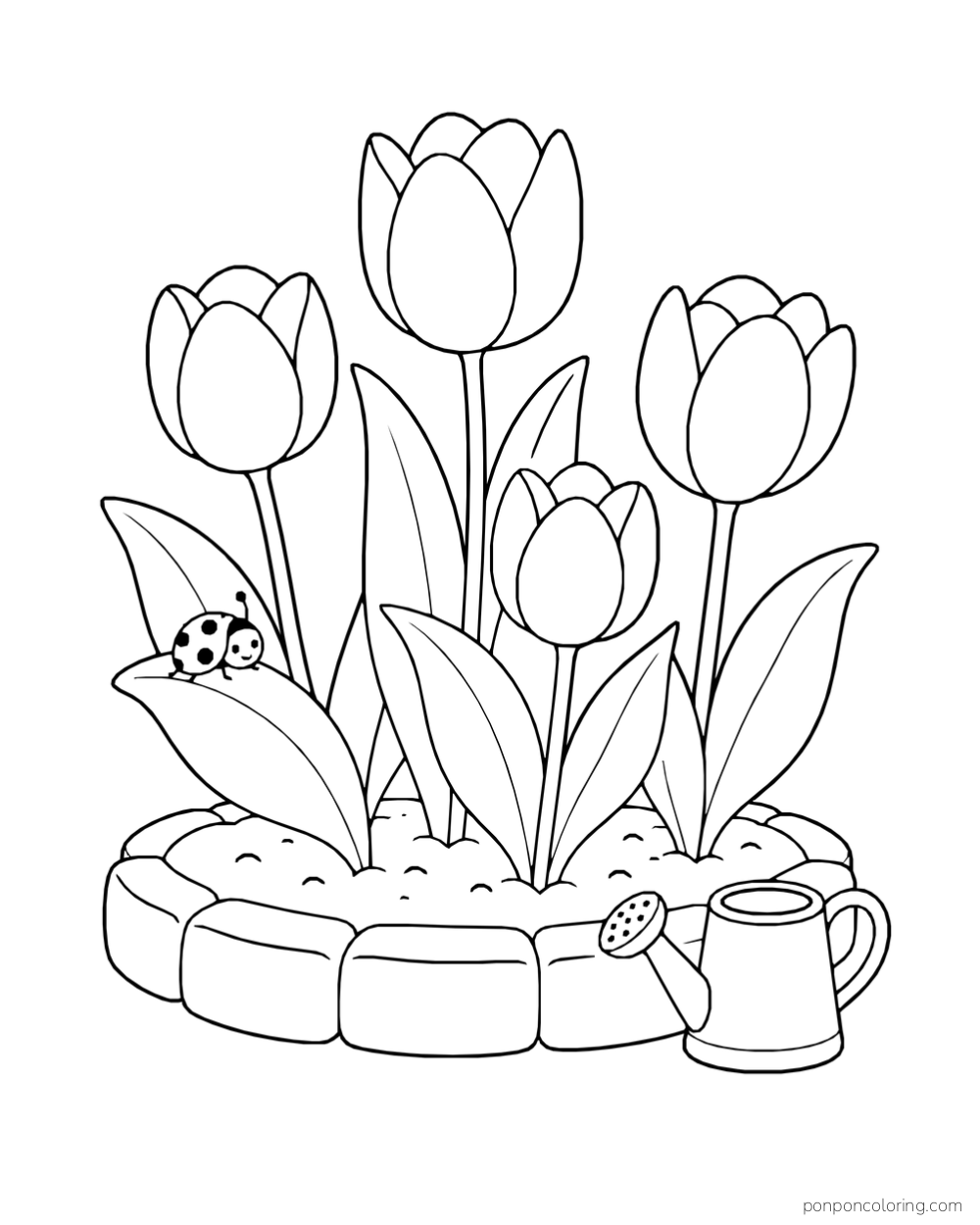 Four tulips growing in a low stone-edged flowerbed, with a ladybug on a broad leaf and a small watering can beside the bed.