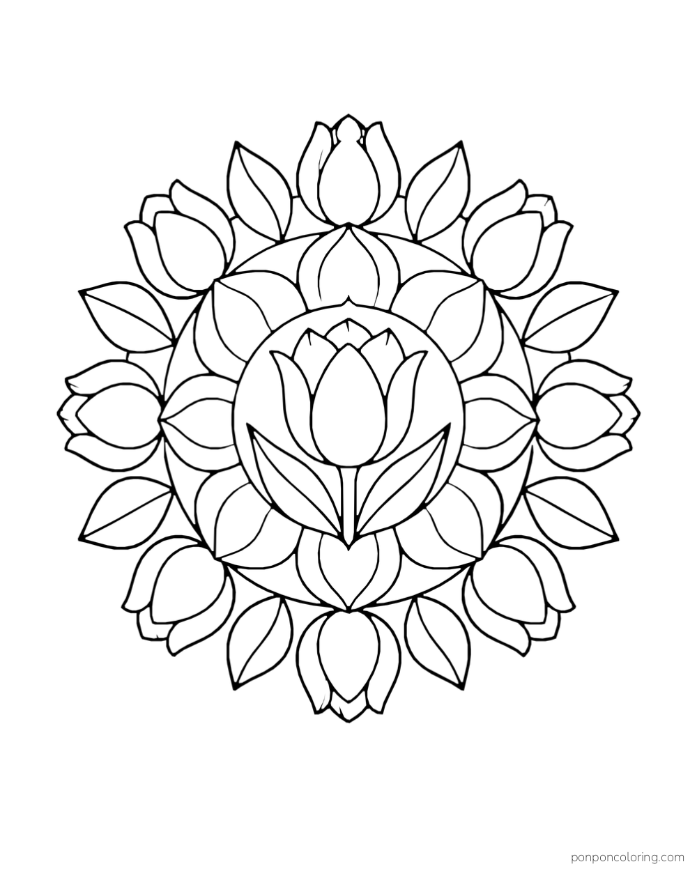 A central tulip surrounded by rings of petals, buds, and leaves.