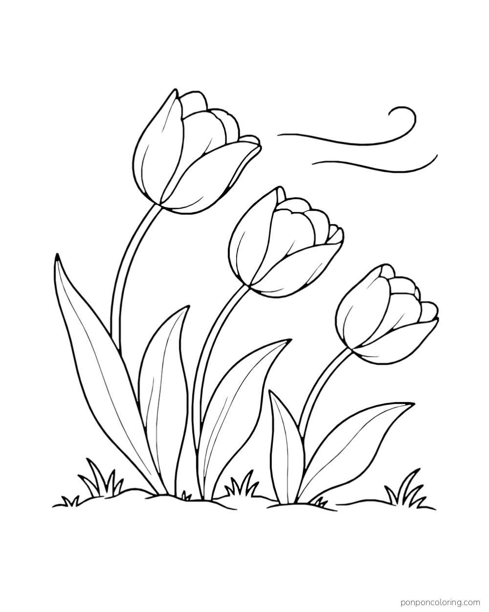 Three tulips leaning together beneath two loose wind curls.