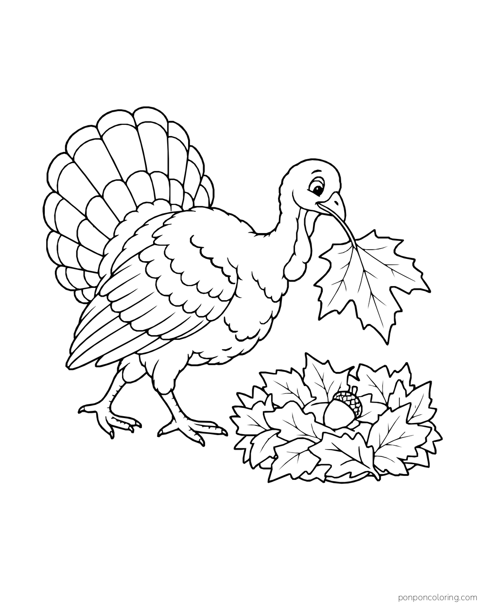 A turkey carries a maple leaf beside a nest of fallen leaves and acorns.