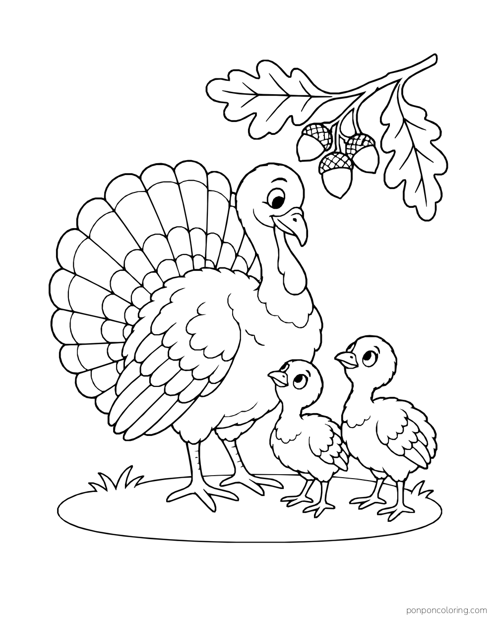 A turkey stands with two poults beneath an oak branch with acorns.
