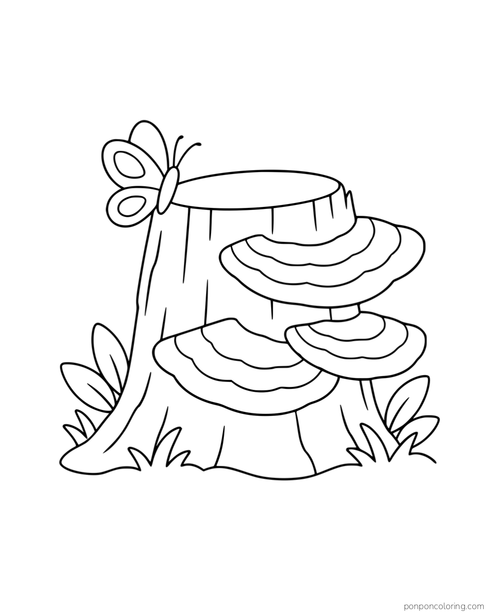 Three banded turkey tail fungi on a stump with a butterfly and plants.