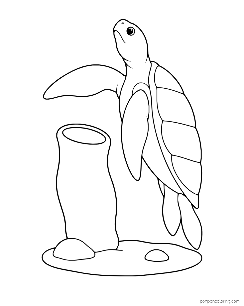 A nearly upright sea turtle turns beside a large tubular sponge on a low seabed oval.