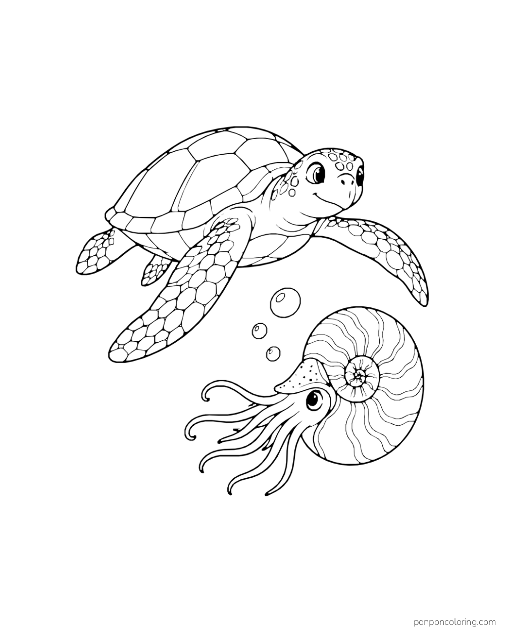 A sea turtle swims beside a nautilus with a striped spiral shell.