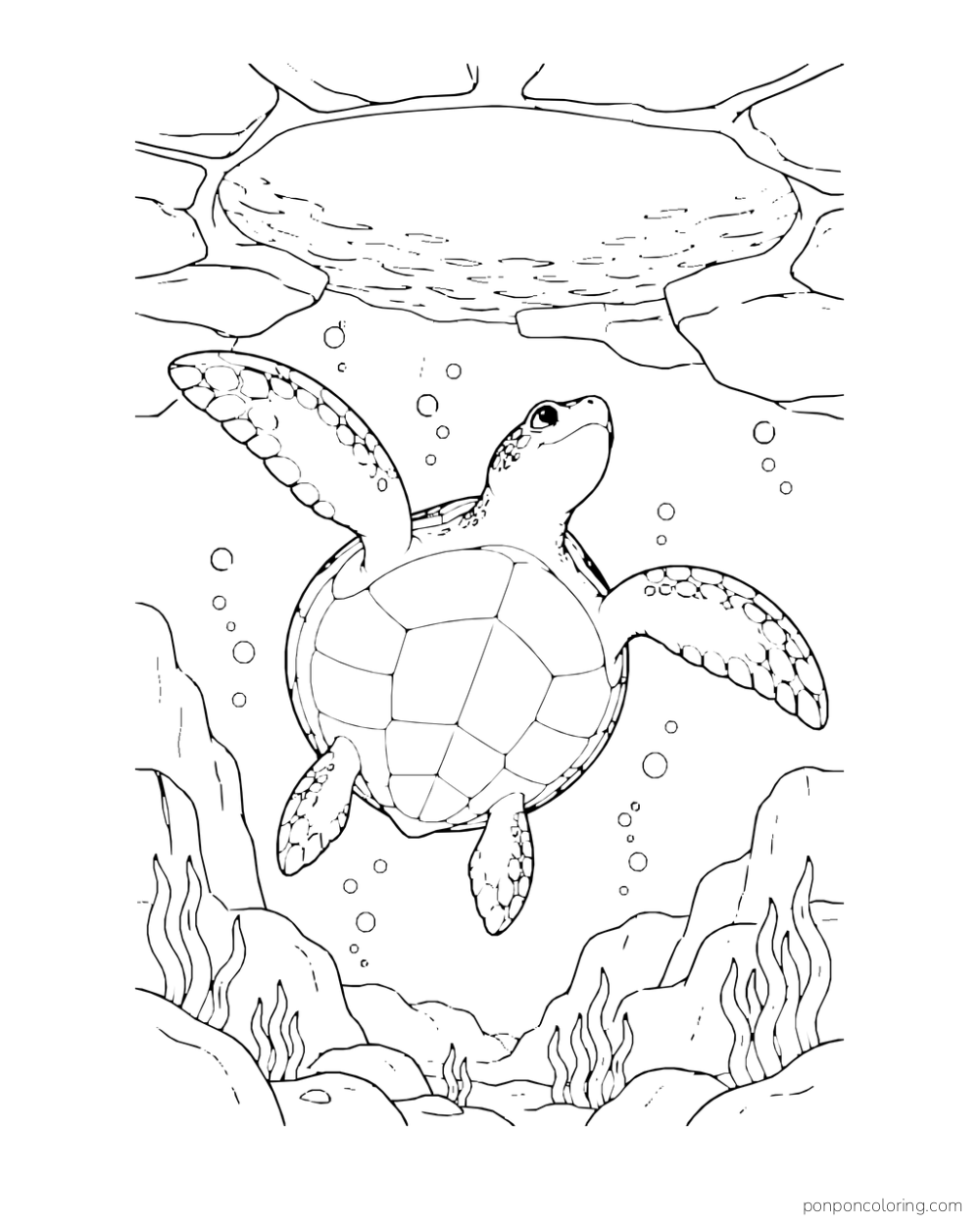 A sea turtle swims beneath an opening in the ice.
