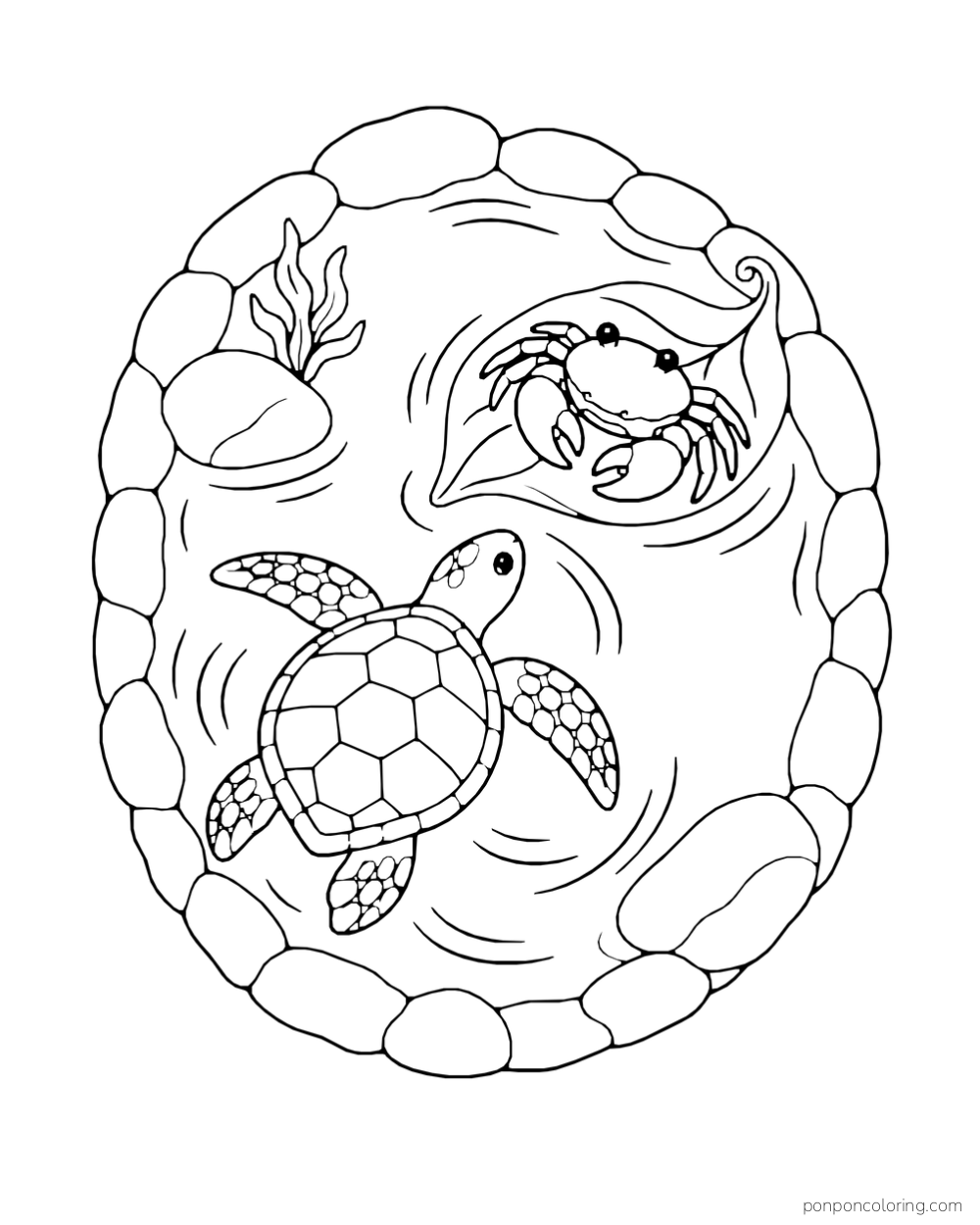 A small crab rides a curled leaf beside a swimming turtle in a round pool.