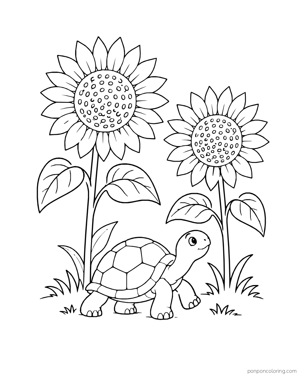 A turtle walking under two sunflower stalks with broad shell panels.