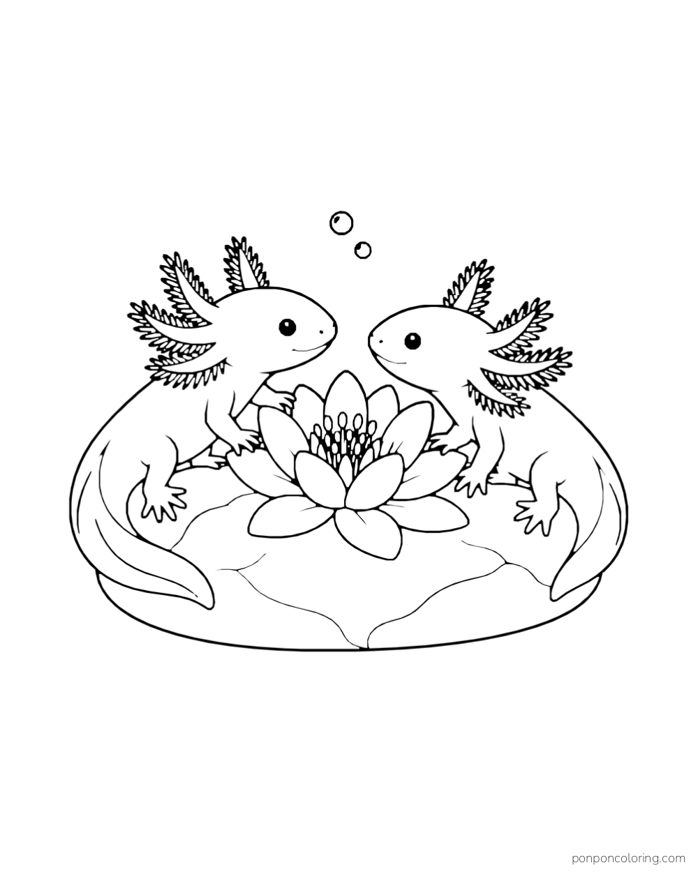 Two axolotls facing one another beside a large flower on a low oval stone.