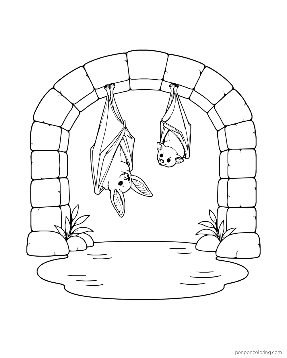 Two bats hang at different heights beneath a stone bridge above a small pond.