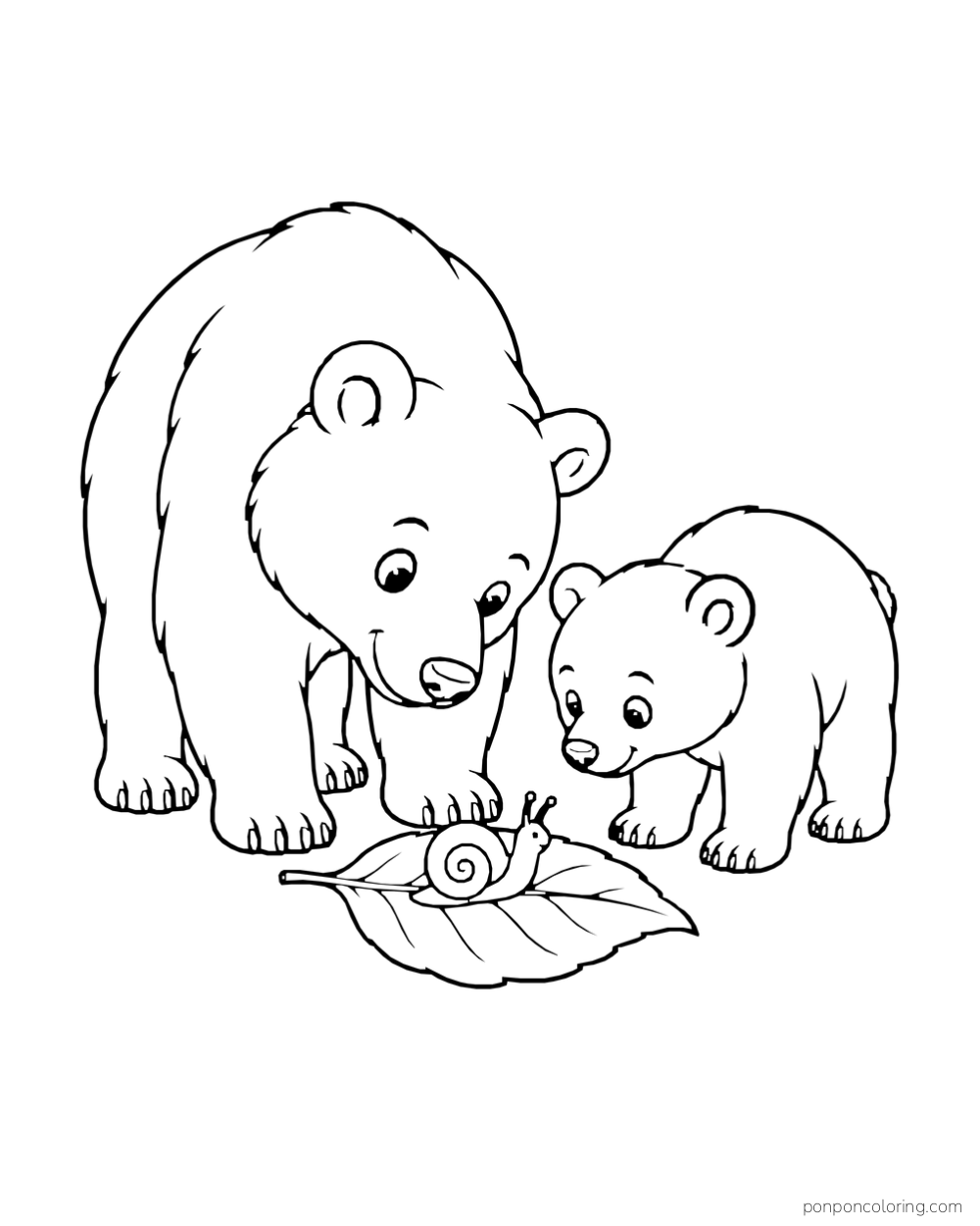 Two bears of different sizes lean toward a snail on a broad leaf.