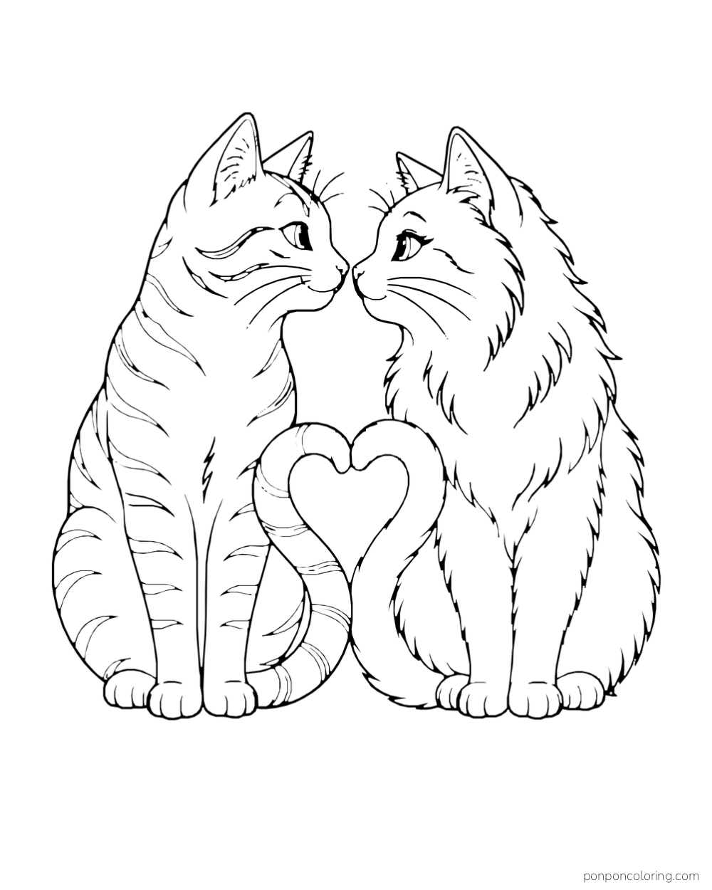 Two cats sit nose-to-nose with their tails forming a heart between them.