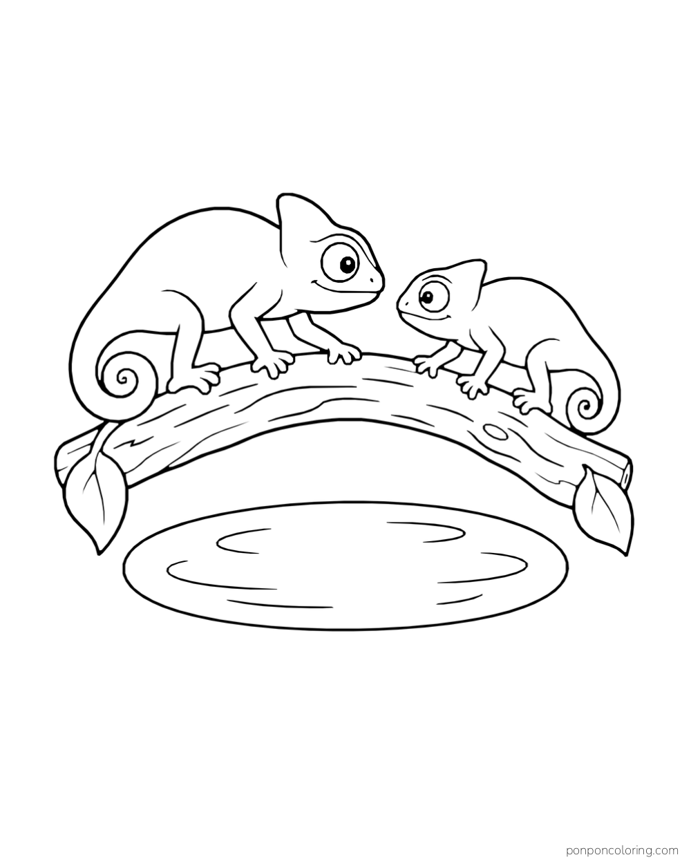 Two chameleons face each other on a curved branch above a closed oval pond.